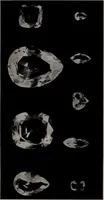 An illustration from Diamonds, pearls and precious stones : where they are found, howcut, and made ready for use in the jeweler's art, their composition and value (1913)