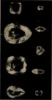 Picture 5 of 15 from Diamonds, pearls and precious stones; (1913), leaf 37