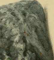 Picture 1 of 15 from Diamonds, pearls and precious stones; (1913), leaf 6