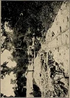 An illustration from Diamonds, pearls and precious stones; (1913)