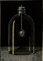 An illustration from Diamonds and precious stones, a popular account of gems .. (1874)