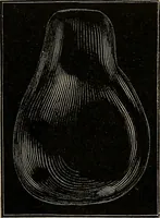 An illustration from Diamonds and precious stones, a popular account of gems .. (1874)