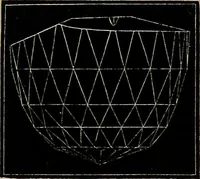 An illustration from Diamonds and precious stones, a popular account of gems .. (1874)