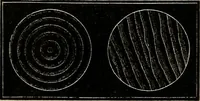 An illustration from Diamonds and precious stones, a popular account of gems .. (1874)