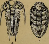An illustration from Diamonds and precious stones, a popular account of gems .. (1874)