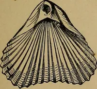 An illustration from Diamonds and precious stones, a popular account of gems .. (1874)