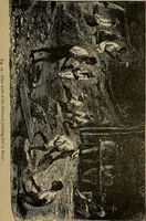 An illustration from Diamonds and precious stones, a popular account of gems .. (1874)