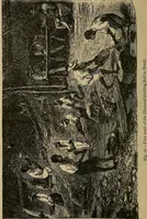 An illustration from Diamonds and precious stones, a popular account of gems .. (1874)