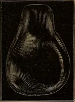 An illustration from Diamonds and precious stones, a popular account of gems .. (1874)