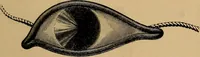 An illustration from Diamonds and precious stones, a popular account of gems .. (1874)