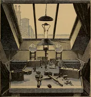 Picture 95 of 107 from Diamonds and precious stones, a popular account of gems .. (1874), leaf 288