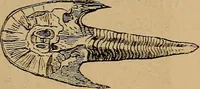 An illustration from Diamonds and precious stones, a popular account of gems .. (1874)