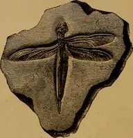 An illustration from Diamonds and precious stones, a popular account of gems .. (1874)