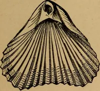 An illustration from Diamonds and precious stones, a popular account of gems .. (1874)