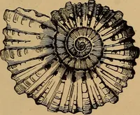 An illustration from Diamonds and precious stones, a popular account of gems .. (1874)