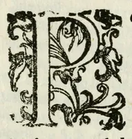 An illustration from Diario en que se prosigue la narracion de lo sucedido en Milan despues de la real entrada de la reyna nuestra señora doña Maria Anna de Austria (1649)