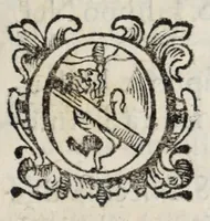 Picture 11 of 30 from Diario sacro e guida perpetua per visitare le chiese della città di Firenze, e suoi sobborghi in tutt' i giorni dell' anno, e per sapere le feste, che vi si celebrano, l' indulgenze perpetue che vi s' accquistano, e gl' esercizj di devozione, e pietà che vi si fanno : con una notizia de' corpi, e reliquie di santi, che in esse chiese si conservano, ed un catalogo de SS. e BB. che in essa città fiorirono, ed altre particolarità (1700), leaf 113