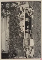 An illustration from The diary of a free kindergarten (1913)