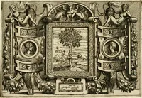 An illustration from Di Battista Pittoni pittore vicentino Imprese di diversi prencipi, dvchi, signori, e d'altri personaggi et hvomini letterati et illvstri : con alcune stanze del Dolce che dichiarano i motti di esse imprese (1562)