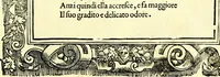 An illustration from Di Battista Pittoni pittore vicentino ano. M.D.LXVIII Impresse di diversi prencipi, dvchi, signori, e d'altri personaggi et hvomini letterati et illvstri. Con priuillegio di Venetia per anni XV. Con alcune stanze del Dolce che dichiarano i motti di esse imprese (1562)