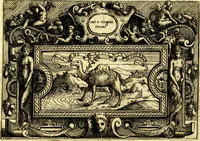 An illustration from Di Battista Pittoni pittore vicentino ano. M.D.LXVIII Impresse di diversi prencipi, dvchi, signori, e d'altri personaggi et hvomini letterati et illvstri. Con priuillegio di Venetia per anni XV. Con alcune stanze del Dolce che dichiarano i motti di esse imprese (1562)