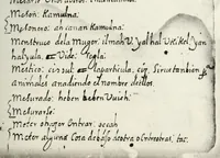 An illustration from [Diccionario de Motul, maya español] (1577)