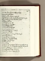An illustration from [Diccionario de Motul, maya español] (1577)