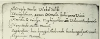 An illustration from [Diccionario de Motul, maya español] (1577)