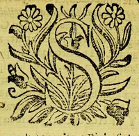 An illustration from Dicertacion canonica y legal, sobre si en la causa de la immunidad espiritual, pueda auer auto de legos, y otros derechos de la misma immunidad: respondiendo a algunas dudas. : Comunicala, a sus vicarios, y curas. (1693)