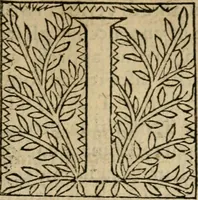 An illustration from Dichiaratione dell'arco fatto in Padova nella venvta della serenissima reina Bona di Polonia (1516)