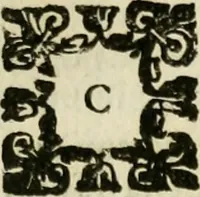 An illustration from Dichiarationi, et avertimenti : poetici, istorici, politici, cauallereschi, & morali (1616)