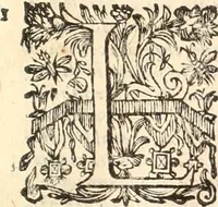 An illustration from Dichiarazioni della pianta dell'antiche Siracuse, e d'alcune scelte medaglie d'esse, e de' principi che quelle possedettero (1613)