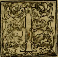 An illustration from Trattato di Christoforo Acosta africano medico & chirurgo della historia, natvra, et virtv delle droghe medicinali, & altri semplici rarissimi, che vengono portati dalle Indie Orientali in Europa : con le figure delle piante ritratte, & disegnate dal viuo poste a' luoghi proprij : nuouamente recato dalla spagnuola nella nostra lingua : con due indici, vno de' capi principali, l'altro delle cose di più momento, che si ritrouano in tutta l'opera (1585)