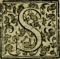 An illustration from Trattato di Christoforo Acosta africano medico & chirurgo della historia, natvra, et virtv delle droghe medicinali, & altri semplici rarissimi, che vengono portati dalle Indie Orientali in Europa : con le figure delle piante ritratte, & disegnate dal viuo poste a' luoghi proprij : nuouamente recato dalla spagnuola nella nostra lingua : con due indici, vno de' capi principali, l'altro delle cose di più momento, che si ritrouano in tutta l'opera (1585)