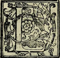 An illustration from Trattato di Christoforo Acosta africano medico & chirurgo della historia, natvra, et virtv delle droghe medicinali, & altri semplici rarissimi, che vengono portati dalle Indie Orientali in Europa : con le figure delle piante ritratte, & disegnate dal viuo poste a' luoghi proprij : nuouamente recato dalla spagnuola nella nostra lingua : con due indici, vno de' capi principali, l'altro delle cose di più momento, che si ritrouano in tutta l'opera (1585)