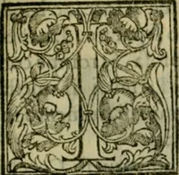 An illustration from Trattato di Christoforo Acosta africano medico & chirurgo della historia, natvra, et virtv delle droghe medicinali, & altri semplici rarissimi, che vengono portati dalle Indie Orientali in Europa : con le figure delle piante ritratte, & disegnate dal viuo poste a' luoghi proprij : nuouamente recato dalla spagnuola nella nostra lingua : con due indici, vno de' capi principali, l'altro delle cose di più momento, che si ritrouano in tutta l'opera (1585)