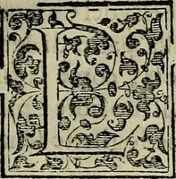 An illustration from Trattato di Christoforo Acosta africano medico & chirurgo della historia, natvra, et virtv delle droghe medicinali, & altri semplici rarissimi, che vengono portati dalle Indie Orientali in Europa : con le figure delle piante ritratte, & disegnate dal viuo poste a' luoghi proprij : nuouamente recato dalla spagnuola nella nostra lingua : con due indici, vno de' capi principali, l'altro delle cose di più momento, che si ritrouano in tutta l'opera (1585)