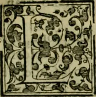 An illustration from Trattato di Christoforo Acosta africano medico & chirurgo della historia, natvra, et virtv delle droghe medicinali, & altri semplici rarissimi, che vengono portati dalle Indie Orientali in Europa : con le figure delle piante ritratte, & disegnate dal viuo poste a' luoghi proprij : nuouamente recato dalla spagnuola nella nostra lingua : con due indici, vno de' capi principali, l'altro delle cose di più momento, che si ritrouano in tutta l'opera (1585)