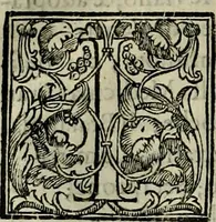 An illustration from Trattato di Christoforo Acosta africano medico & chirurgo della historia, natvra, et virtv delle droghe medicinali, & altri semplici rarissimi, che vengono portati dalle Indie Orientali in Europa : con le figure delle piante ritratte, & disegnate dal viuo poste a' luoghi proprij : nuouamente recato dalla spagnuola nella nostra lingua : con due indici, vno de' capi principali, l'altro delle cose di più momento, che si ritrouano in tutta l'opera (1585)