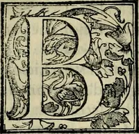 Picture 37 of 102 from Trattato di Christoforo Acosta africano medico & chirurgo della historia, natvra, et virtv delle droghe medicinali, & altri semplici rarissimi, che vengono portati dalle Indie Orientali in Europa : con le figure delle piante ritratte, & disegnate dal viuo poste a' luoghi proprij : nuouamente recato dalla spagnuola nella nostra lingua : con due indici, vno de' capi principali, l'altro delle cose di più momento, che si ritrouano in tutta l'opera (1585), leaf 171