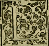 An illustration from Trattato di Christoforo Acosta africano medico & chirurgo della historia, natvra, et virtv delle droghe medicinali, & altri semplici rarissimi, che vengono portati dalle Indie Orientali in Europa : con le figure delle piante ritratte, & disegnate dal viuo poste a' luoghi proprij : nuouamente recato dalla spagnuola nella nostra lingua : con due indici, vno de' capi principali, l'altro delle cose di più momento, che si ritrouano in tutta l'opera (1585)