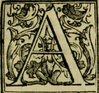 An illustration from Trattato di Christoforo Acosta africano medico & chirurgo della historia, natvra, et virtv delle droghe medicinali, & altri semplici rarissimi, che vengono portati dalle Indie Orientali in Europa : con le figure delle piante ritratte, & disegnate dal viuo poste a' luoghi proprij : nuouamente recato dalla spagnuola nella nostra lingua : con due indici, vno de' capi principali, l'altro delle cose di più momento, che si ritrouano in tutta l'opera (1585)
