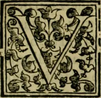 An illustration from Trattato di Christoforo Acosta africano medico & chirurgo della historia, natvra, et virtv delle droghe medicinali, & altri semplici rarissimi, che vengono portati dalle Indie Orientali in Europa : con le figure delle piante ritratte, & disegnate dal viuo poste a' luoghi proprij : nuouamente recato dalla spagnuola nella nostra lingua : con due indici, vno de' capi principali, l'altro delle cose di più momento, che si ritrouano in tutta l'opera (1585)