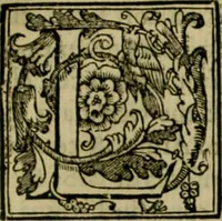 An illustration from Trattato di Christoforo Acosta africano medico & chirurgo della historia, natvra, et virtv delle droghe medicinali, & altri semplici rarissimi, che vengono portati dalle Indie Orientali in Europa : con le figure delle piante ritratte, & disegnate dal viuo poste a' luoghi proprij : nuouamente recato dalla spagnuola nella nostra lingua : con due indici, vno de' capi principali, l'altro delle cose di più momento, che si ritrouano in tutta l'opera (1585)