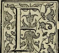 An illustration from Trattato di Christoforo Acosta africano medico & chirurgo della historia, natvra, et virtv delle droghe medicinali, & altri semplici rarissimi, che vengono portati dalle Indie Orientali in Europa : con le figure delle piante ritratte, & disegnate dal viuo poste a' luoghi proprij : nuouamente recato dalla spagnuola nella nostra lingua : con due indici, vno de' capi principali, l'altro delle cose di più momento, che si ritrouano in tutta l'opera (1585)