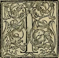 An illustration from Trattato di Christoforo Acosta africano medico & chirurgo della historia, natvra, et virtv delle droghe medicinali, & altri semplici rarissimi, che vengono portati dalle Indie Orientali in Europa : con le figure delle piante ritratte, & disegnate dal viuo poste a' luoghi proprij : nuouamente recato dalla spagnuola nella nostra lingua : con due indici, vno de' capi principali, l'altro delle cose di più momento, che si ritrouano in tutta l'opera (1585)