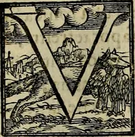 An illustration from Trattato di Christoforo Acosta africano medico & chirurgo della historia, natvra, et virtv delle droghe medicinali, & altri semplici rarissimi, che vengono portati dalle Indie Orientali in Europa : con le figure delle piante ritratte, & disegnate dal viuo poste a' luoghi proprij : nuouamente recato dalla spagnuola nella nostra lingua : con due indici, vno de' capi principali, l'altro delle cose di più momento, che si ritrouano in tutta l'opera (1585)