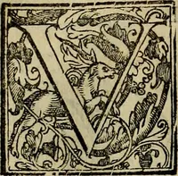 An illustration from Trattato di Christoforo Acosta africano medico & chirurgo della historia, natvra, et virtv delle droghe medicinali, & altri semplici rarissimi, che vengono portati dalle Indie Orientali in Europa : con le figure delle piante ritratte, & disegnate dal viuo poste a' luoghi proprij : nuouamente recato dalla spagnuola nella nostra lingua : con due indici, vno de' capi principali, l'altro delle cose di più momento, che si ritrouano in tutta l'opera (1585)