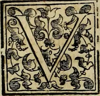 An illustration from Trattato di Christoforo Acosta africano medico & chirurgo della historia, natvra, et virtv delle droghe medicinali, & altri semplici rarissimi, che vengono portati dalle Indie Orientali in Europa : con le figure delle piante ritratte, & disegnate dal viuo poste a' luoghi proprij : nuouamente recato dalla spagnuola nella nostra lingua : con due indici, vno de' capi principali, l'altro delle cose di più momento, che si ritrouano in tutta l'opera (1585)