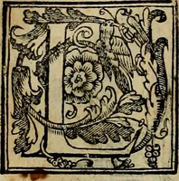 An illustration from Trattato di Christoforo Acosta africano medico & chirurgo della historia, natvra, et virtv delle droghe medicinali, & altri semplici rarissimi, che vengono portati dalle Indie Orientali in Europa : con le figure delle piante ritratte, & disegnate dal viuo poste a' luoghi proprij : nuouamente recato dalla spagnuola nella nostra lingua : con due indici, vno de' capi principali, l'altro delle cose di più momento, che si ritrouano in tutta l'opera (1585)
